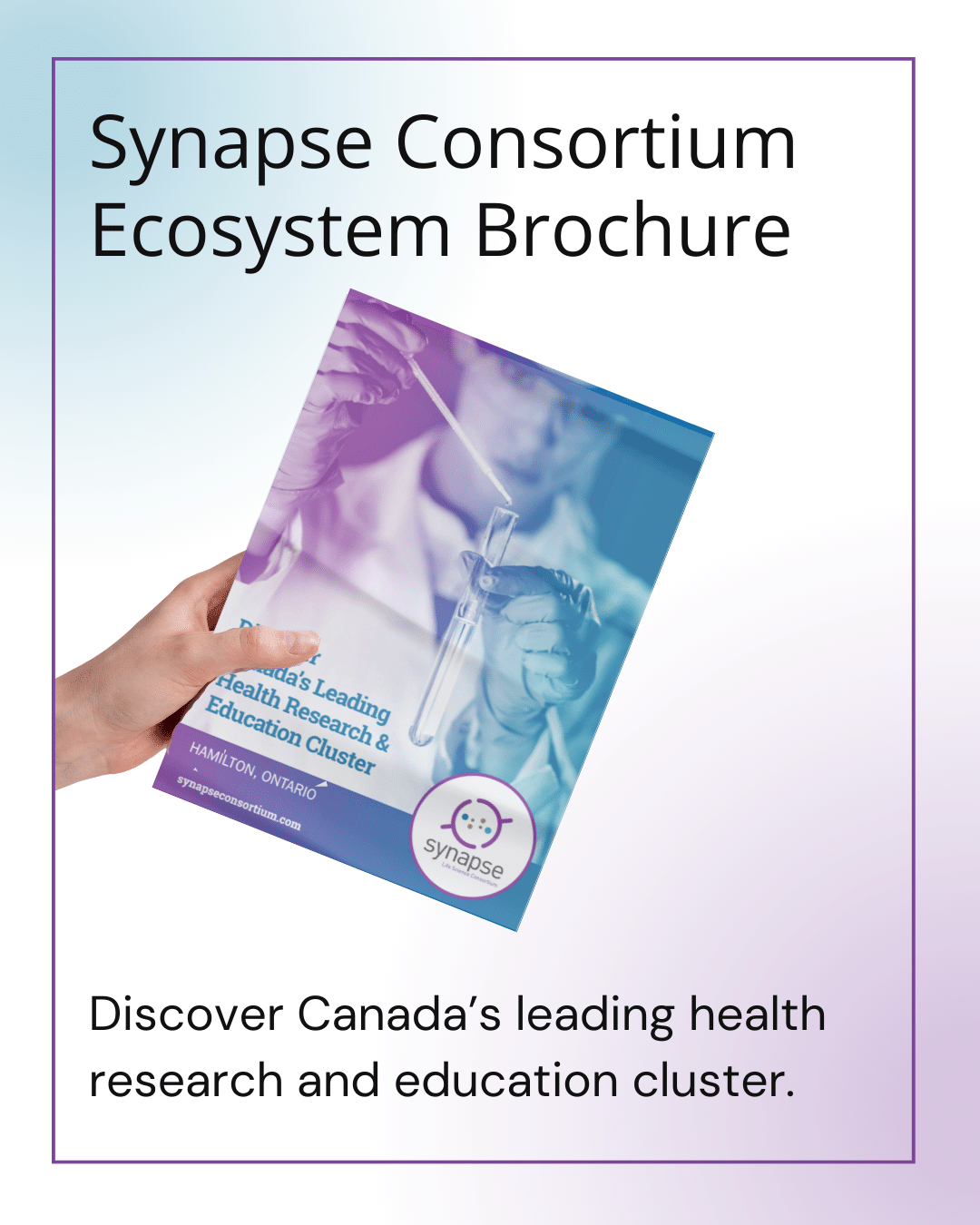 Synapse Ecosystem Brochure